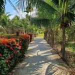 Bán đất Tam Phước 145m² 1,2 tỷ, Nhà Bè - Ảnh thu nhỏ 3
