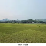 Bán đất 983m² (850m² đất ở) Kim Bôi, giá hơn 1 tỷ - Ảnh thu nhỏ 3