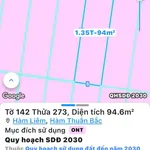 Bán lô đất 95m² H2 Khu tái Định cư Hàm Liêm - Ảnh thu nhỏ 2