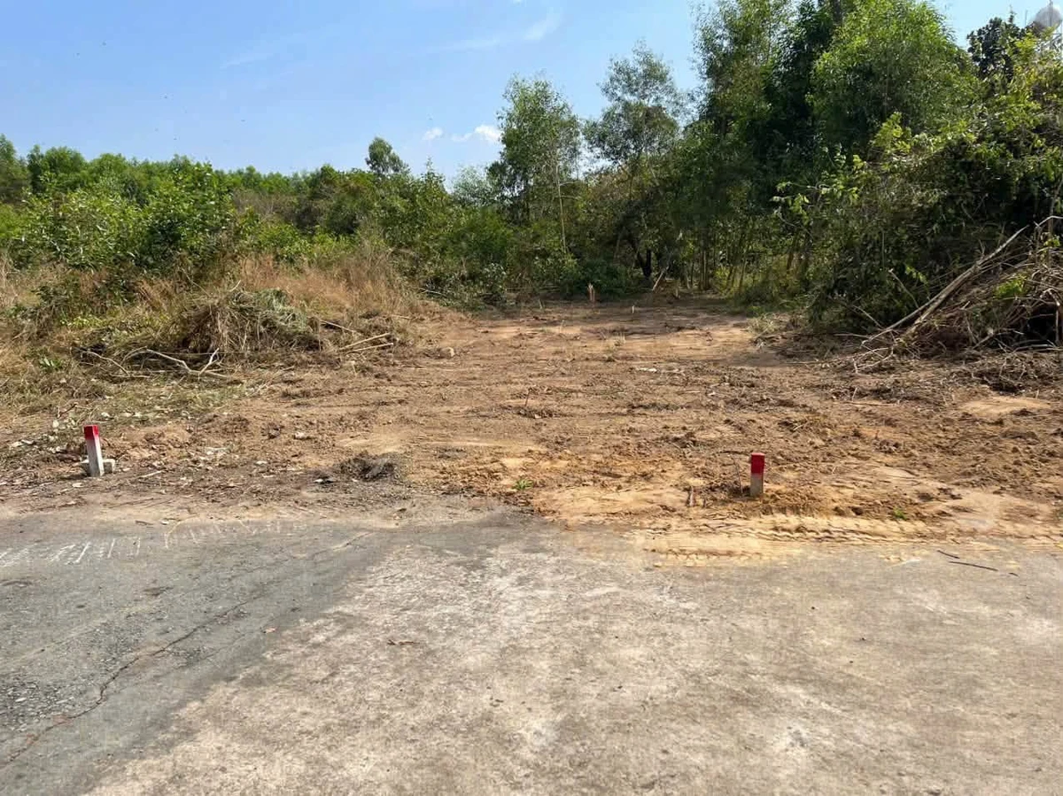 Bán đất 9000m² giá 9 tỷ tại Phường Tân Thành, Phú Mỹ - Ảnh 1