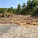 Bán đất 9000m² giá 9 tỷ tại Phường Tân Thành, Phú Mỹ - Ảnh thu nhỏ 1