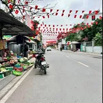 Bán lô đất mặt tiền 97,3m² Chợ Xã Đức Xương Gia Lộc Hải Dương - Ảnh thu nhỏ 3