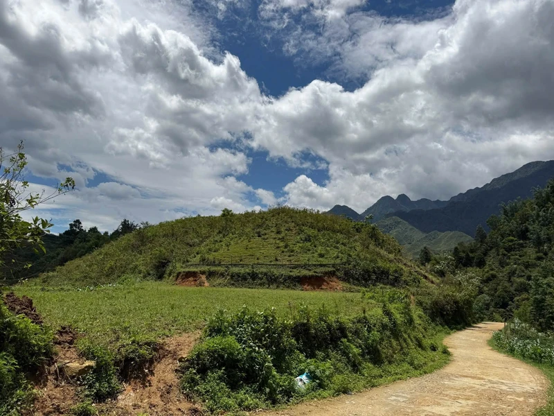 Bán đất 7.000 m² view Sa Pa, gần Cát Cát