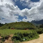 Bán đất 7.000 m² view Sa Pa, gần Cát Cát - Ảnh thu nhỏ 1