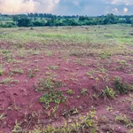 Bán đất 1,7 ha tại Buôn Đôn, Đắk Lắk giáp suối - Ảnh thu nhỏ 5