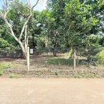 Bán 2 nền đất 4.5x35m gần trường Bảo Vinh, Hóc Môn, 1.17 tỷ - Ảnh thu nhỏ 2
