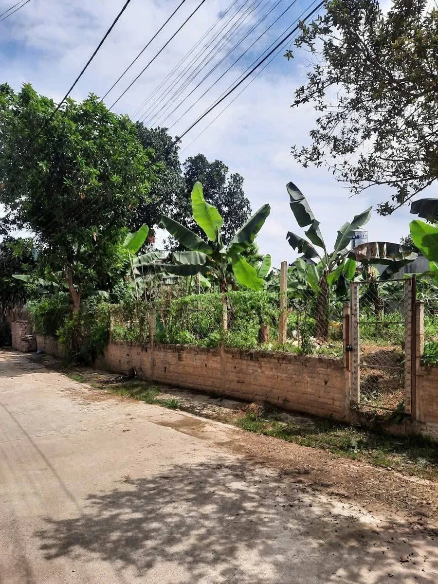 Bán lô đất 87m² cách Nguyễn Thái Học 150m, gần Vincom, 700 triệu - Ảnh thu nhỏ 2