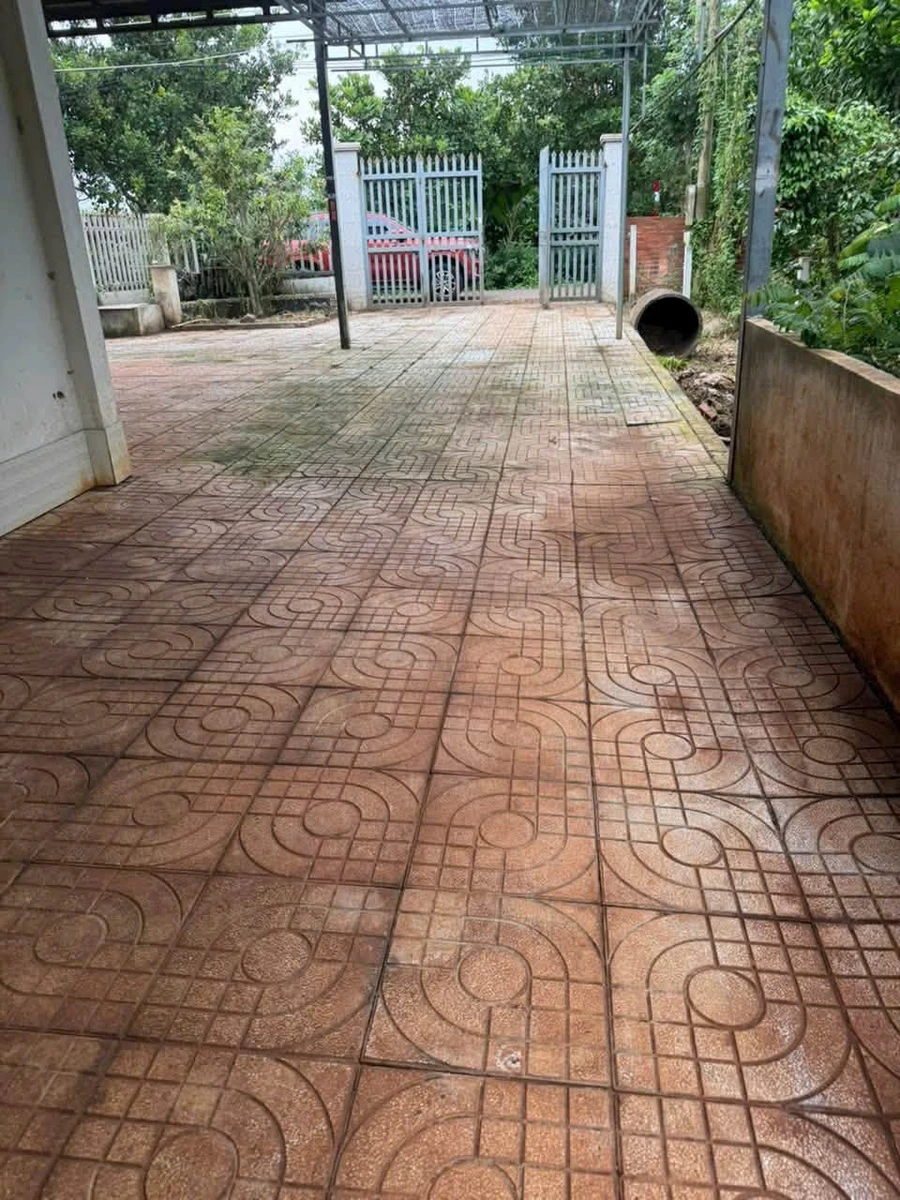 Bán nhà vườn 1000m² Láng Lớn 2 tỷ - Ảnh thu nhỏ 2