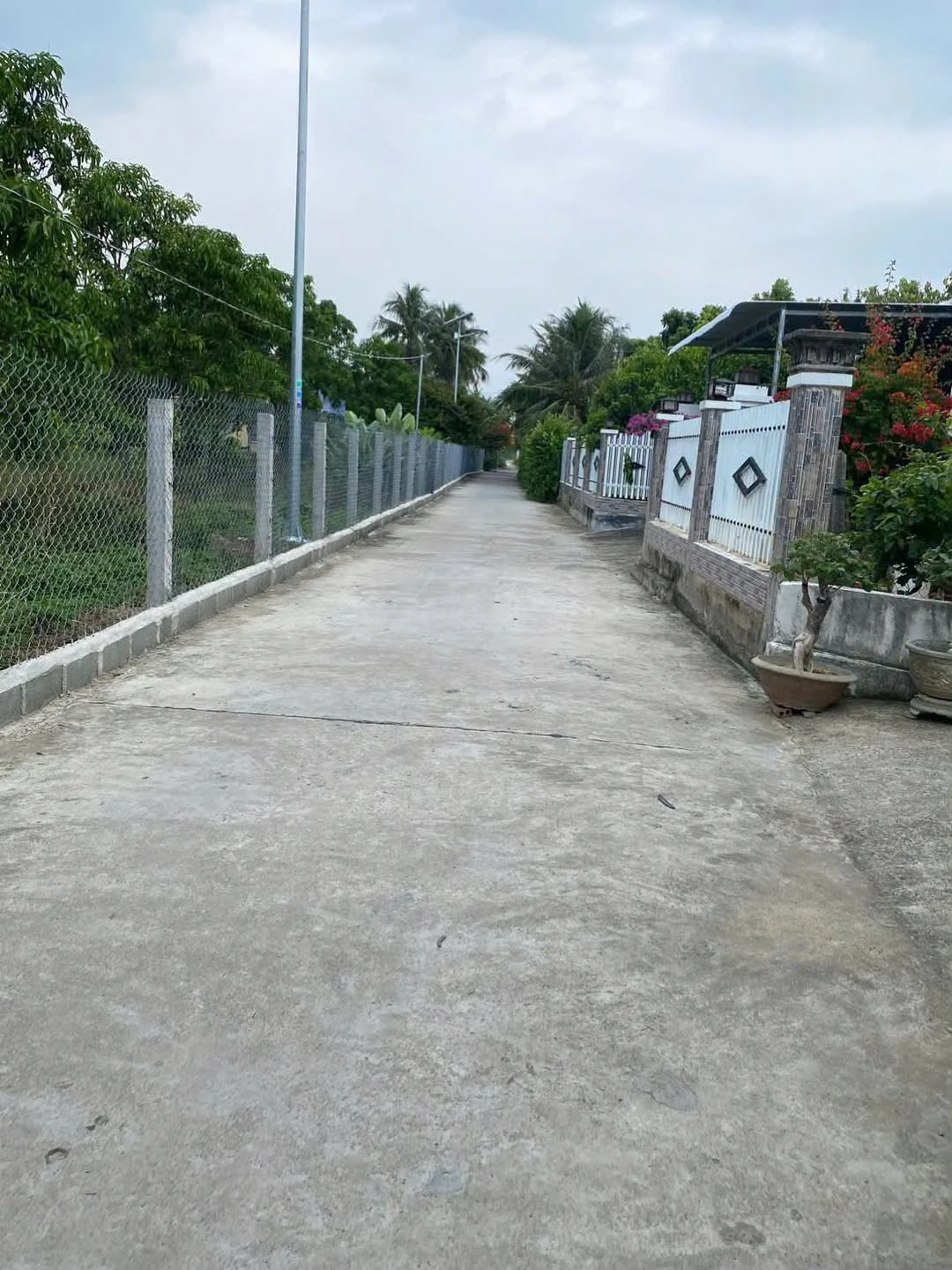 Bán đất Hóc Môn, Ba Ngòi 80m² 400 triệu - Ảnh 1