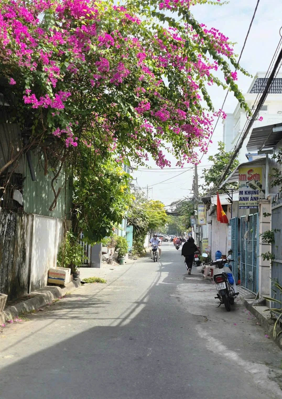 Bán nhà 2 phòng ngủ 37,8m² An Hội, Bến Tre 900 triệu - Ảnh 1