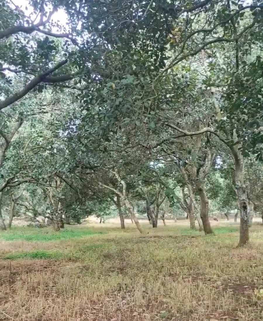 Bán 2,7 ha đất ở Đồng Tâm, Đồng Nai, giá 3,5 tỉ - Ảnh thu nhỏ 2