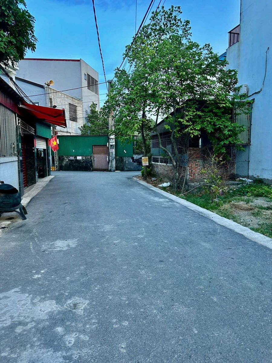 Bán lô góc 92.3m² 2 mặt tiền Lê Viết Thuật, Hưng Lộc - Ảnh 1