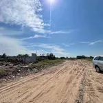 Bán đất mặt tiền Vành Đai Phía Tây Cần Thơ 7123m2, 28 tỷ - Ảnh thu nhỏ 2