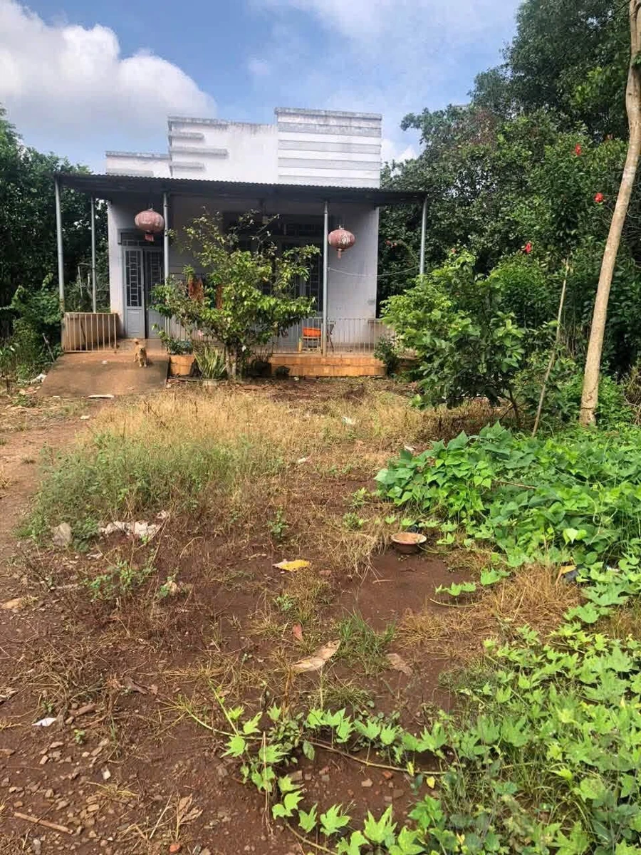 Bán đất có nhà 2000m² tại Xuân Phú, 800 triệu - Ảnh 1