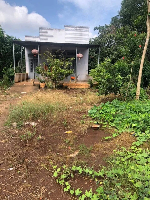 Bán đất có nhà 2000m² tại Xuân Phú, 800 triệu