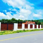 Bán đất góc 2 mặt tiền 913m2 Phước Hải gần biển - Ảnh thu nhỏ 3