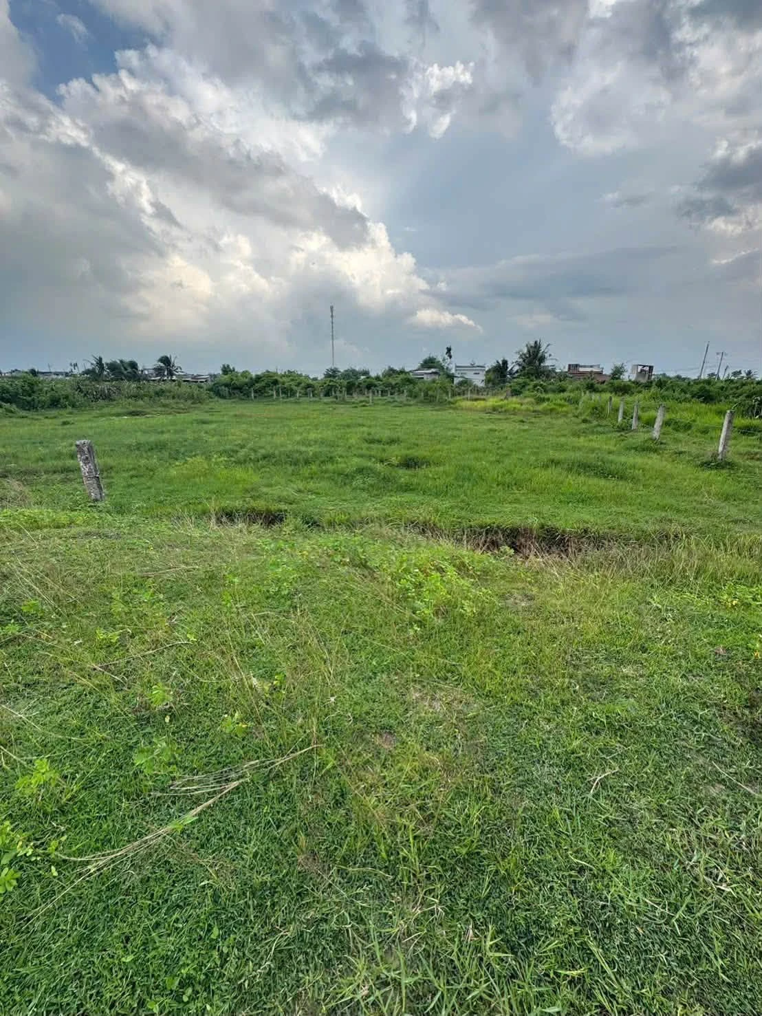 Bán đất vườn 1.426m² view hồ nước Thôn 2 Hàm Liêm - Ảnh 1