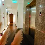 Bán cặp nhà mặt tiền Chính Hữu 146m2 ngang 10m sát Phạm Văn Đồng, Đà Nẵng, giá 31 tỷ - Ảnh thu nhỏ 5