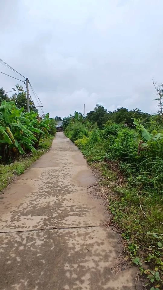 Bán đất 5700m2 Phú Vinh Mới, Đồng Nai, 2 tỷ - Ảnh thu nhỏ 4