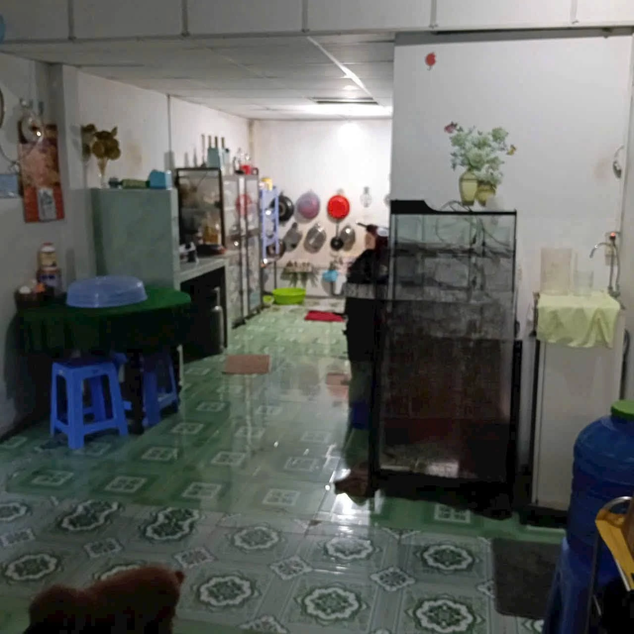 Bán nhà vườn cấp 4 168m2, 4 phòng ngủ tại xã Thạnh Đức, Bến Lức, Long An - Ảnh 1