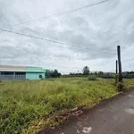 Bán đất thổ cư 130m² giá 309 triệu đường Bờ Sen, xã Tầm Vu, Tây Ninh - Ảnh thu nhỏ 3