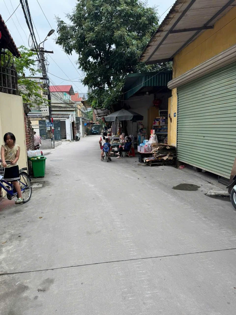 Bán lô góc 2 mặt tiền 100m2 Bình Vọng, Thường Tín, Hà Nội - Ảnh thu nhỏ 2