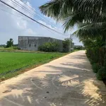 Bán nhà cấp 4, 145m², 750 triệu tại Đức Hòa - Ảnh thu nhỏ 3