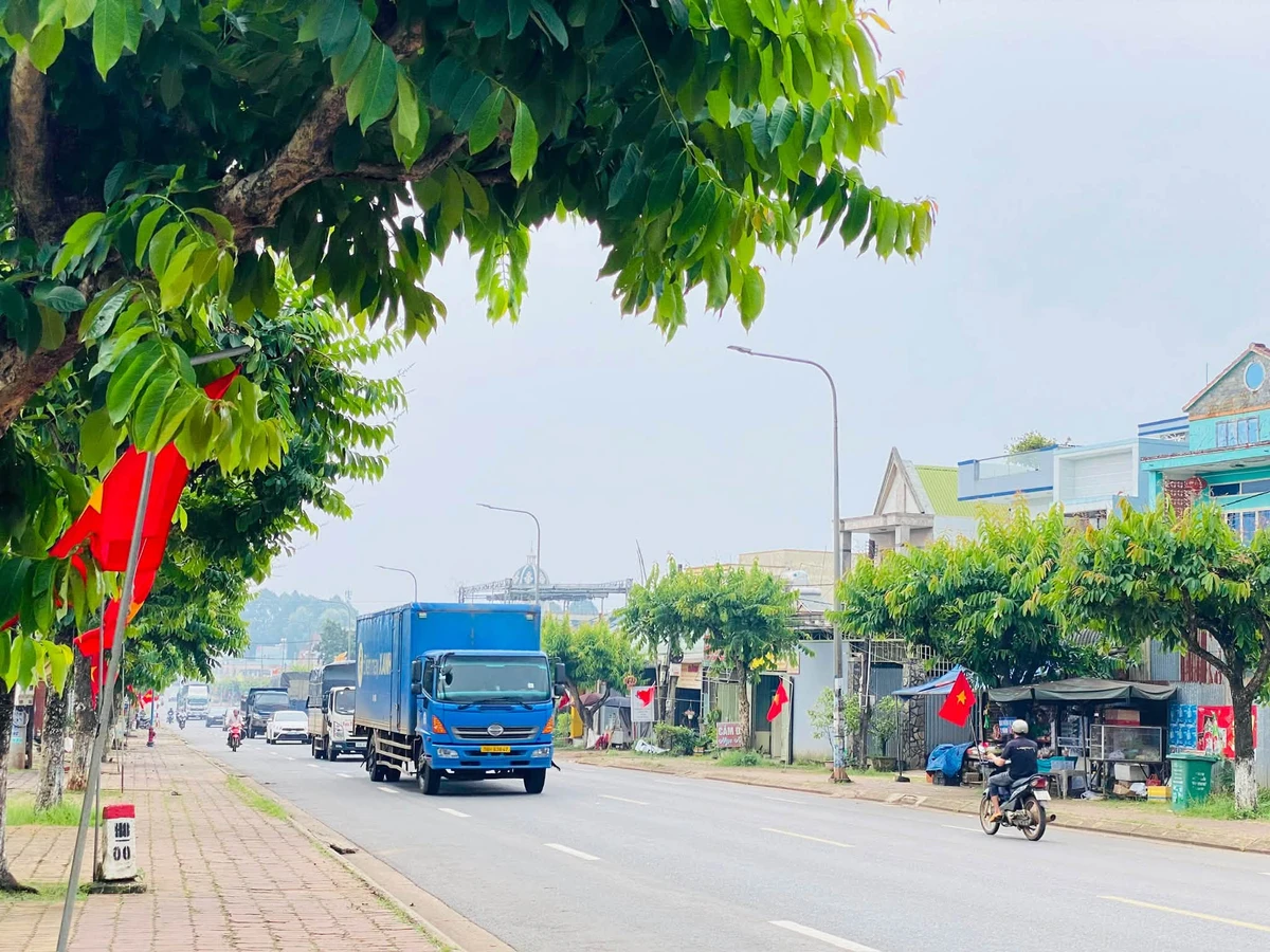 Bán đất sát QL56, 105m², 999 triệu sổ riêng - Ảnh thu nhỏ 4