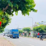 Bán đất sát QL56, 105m², 999 triệu sổ riêng - Ảnh thu nhỏ 4
