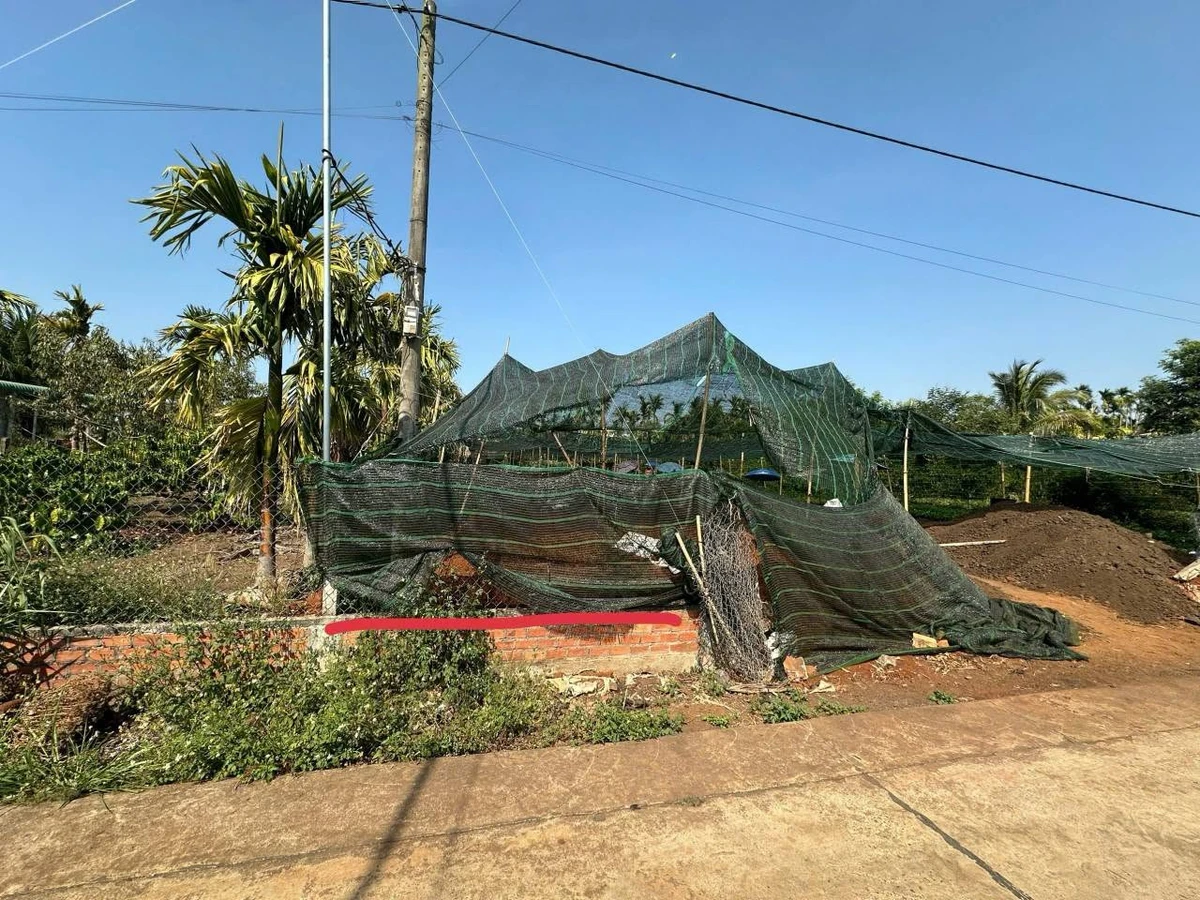Bán đất 6x52m có 80m2 thổ cư, mặt tiền đường nhựa tại Phường Ea Kao, Buôn Ma Thuột - Ảnh thu nhỏ 3