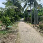 Bán đất 13.000m² Thới Lai, Nhà Bè giá 2.58 tỷ - Ảnh thu nhỏ 2