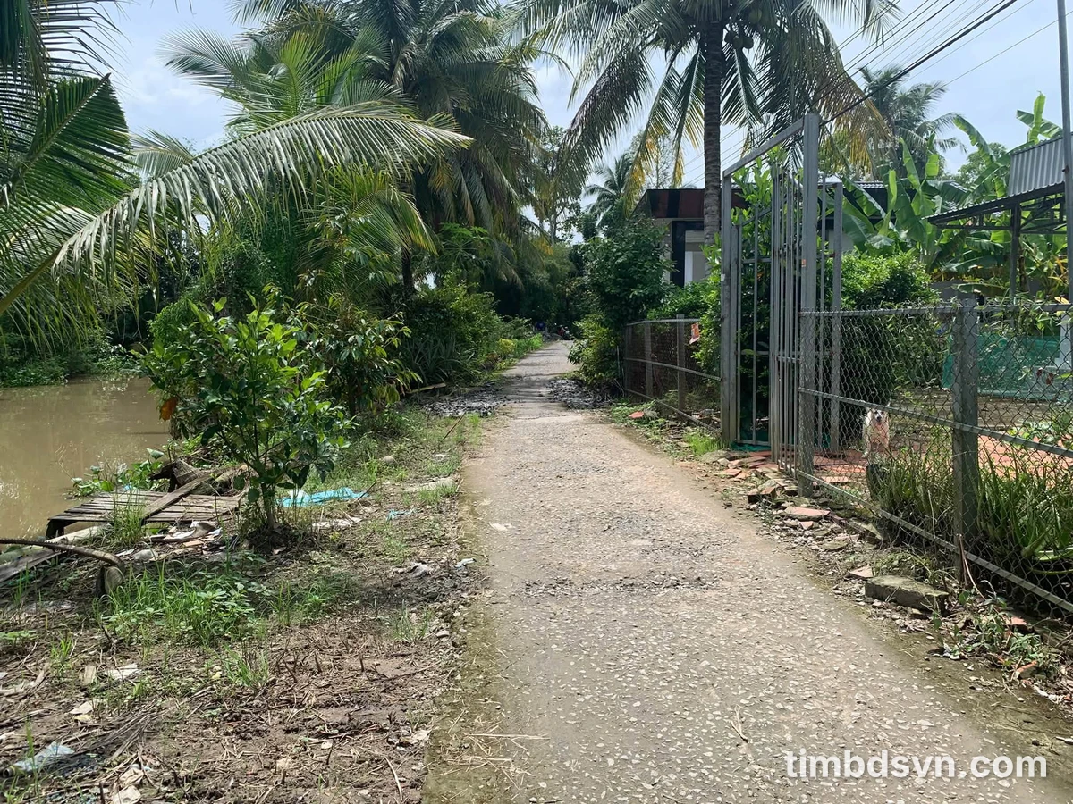 Bán đất 13.000m² Thới Lai, Nhà Bè giá 2.58 tỷ - Ảnh thu nhỏ 2