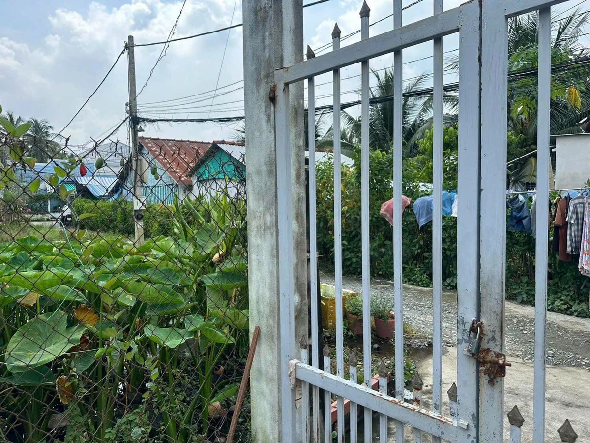 Bán đất 300m2 (100m2 thổ cư) có vườn dừa, nhà cấp 4, hẻm Huỳnh Văn Cận, Phường 8 - Ảnh 1