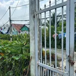 Bán đất 300m2 (100m2 thổ cư) có vườn dừa, nhà cấp 4, hẻm Huỳnh Văn Cận, Phường 8 - Ảnh thu nhỏ 1