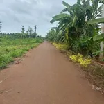 Bán đất trồng cây lâu năm 5.500m² tại Châu Đức - Ảnh thu nhỏ 4