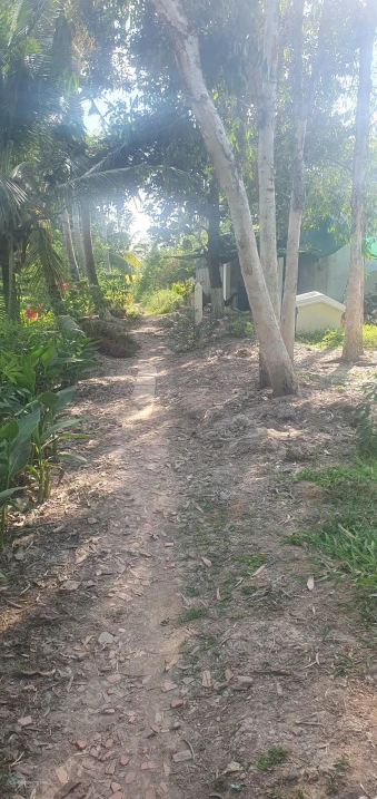 Bán đất đẹp tại Kinh 30 tháng 4, 900 triệu, 1000m2, nhiều tiện ích - Ảnh thu nhỏ 3