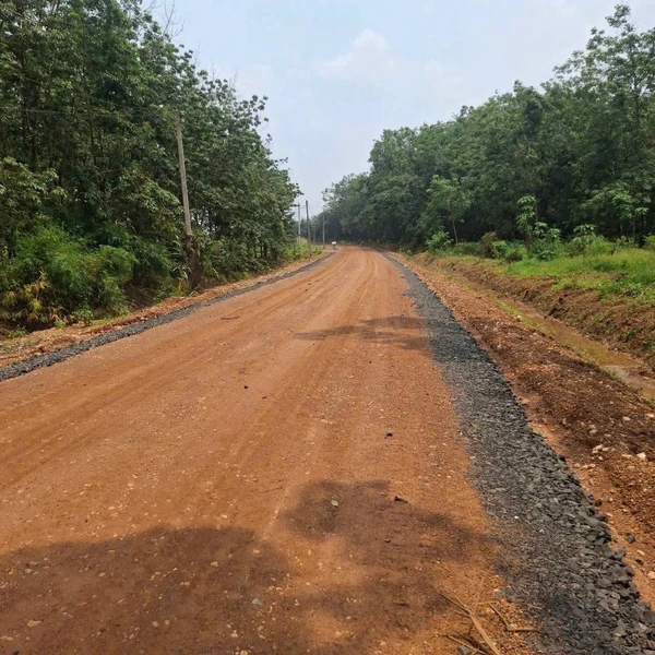 Bán đất 1000m2 mặt tiền Thuận Lợi Đồng Phú 200 triệu