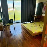 Cho thuê biệt thự vườn 800m2 Sư Vạn Hạnh Huế - Ảnh thu nhỏ 2