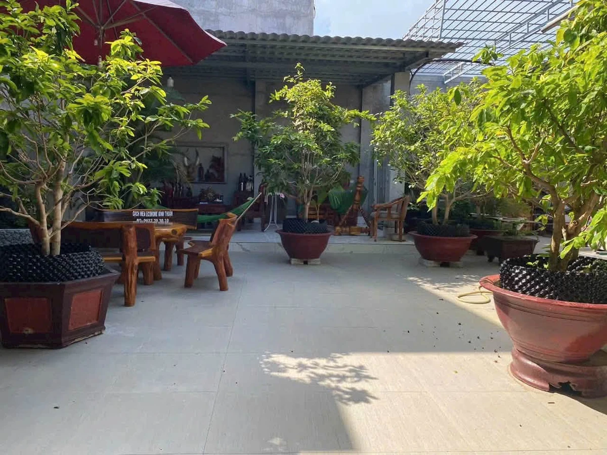Bán nhà vườn mặt tiền Thủ Khoa Huân Phan Thiết 460m2 - Ảnh thu nhỏ 5