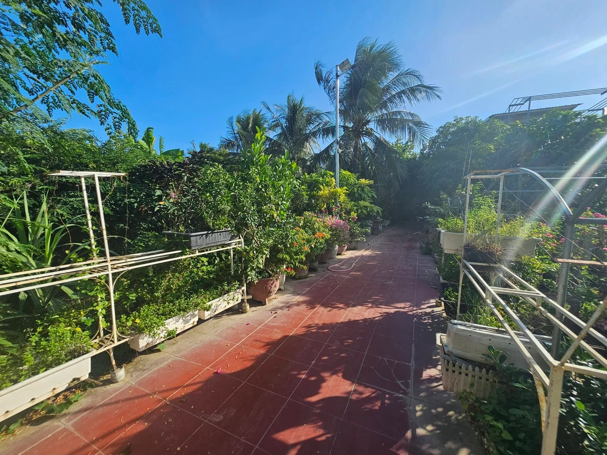 Bán nhà vườn An Hải Phước Dinh Khánh Hòa 4.371m² giá 5 tỷ - Ảnh thu nhỏ 5