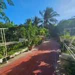 Bán nhà vườn An Hải Phước Dinh Khánh Hòa 4.371m² giá 5 tỷ - Ảnh thu nhỏ 5