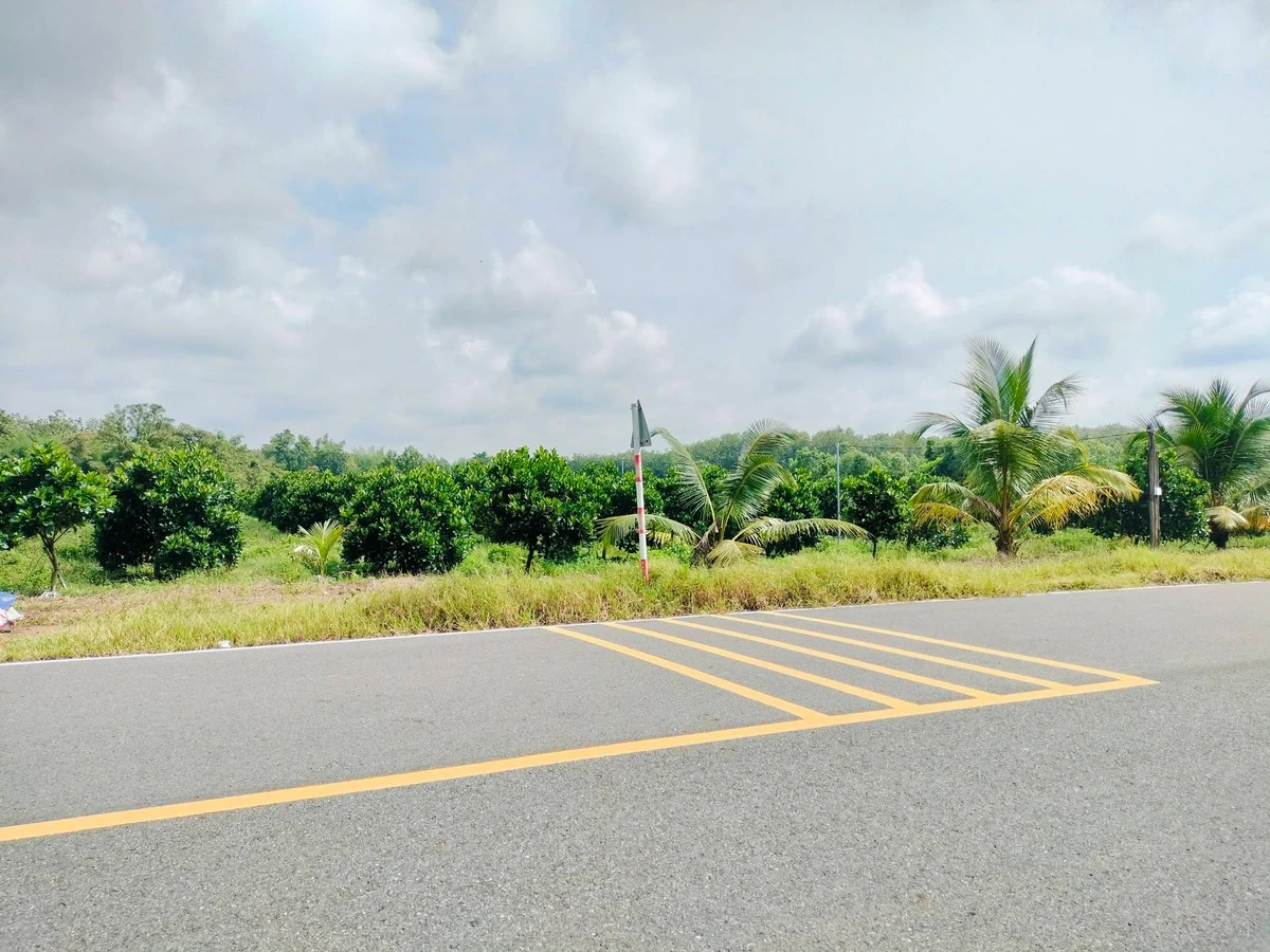 Bán vườn mít 1 sào 1020m² Bình Phước 280 triệu - Ảnh thu nhỏ 3