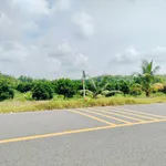 Bán vườn mít 1 sào 1020m² Bình Phước 280 triệu - Ảnh thu nhỏ 3
