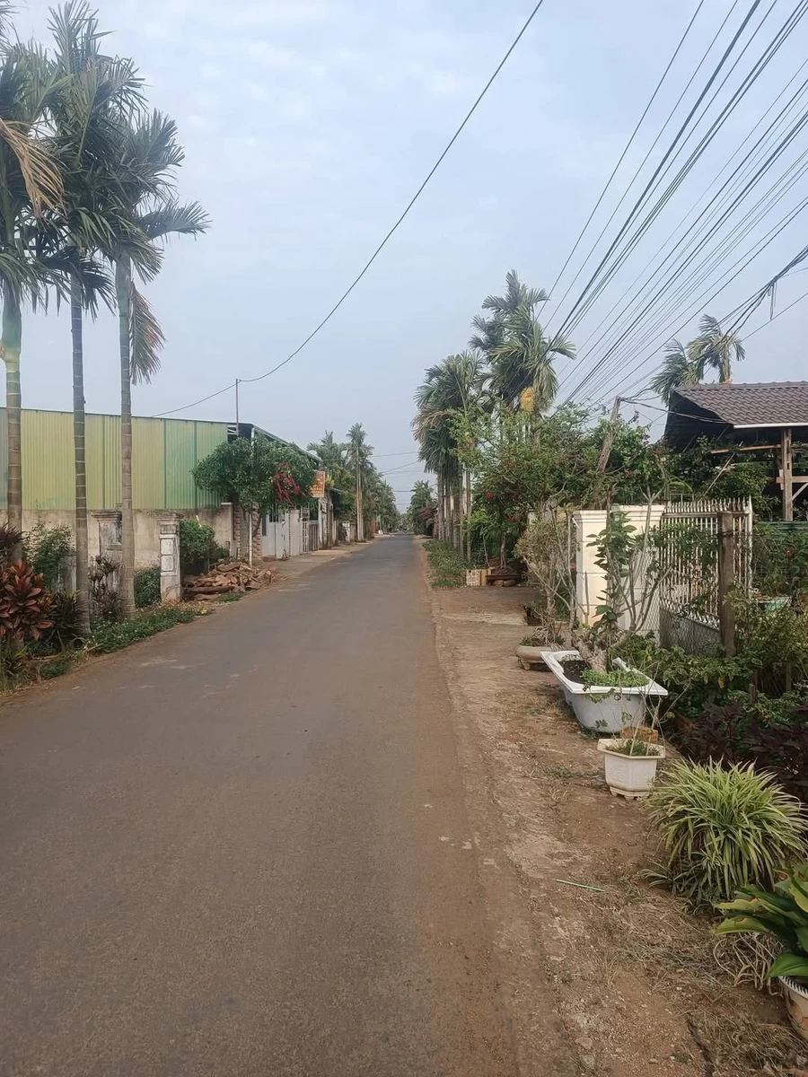 Bán lô đất 252m² đường 10A, Tân An, Hóc Môn - Ảnh 1