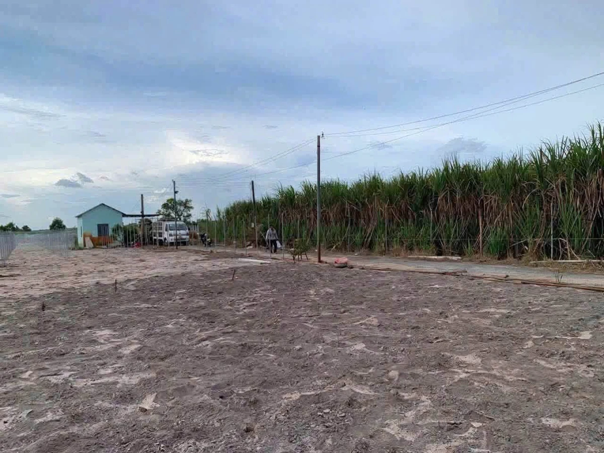 Bán đất nền 11.315m² mặt tiền 68m Lộc An, Bà Rịa - Vũng Tàu 7 tỷ - Ảnh thu nhỏ 4