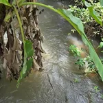 Bán đất 1.9ha, view suối tại Thiện Hưng, Đồng Nai - Ảnh thu nhỏ 2