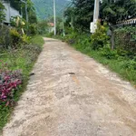 Đất vườn 534m² Núi Chứa Chan 750 triệu - Ảnh thu nhỏ 1
