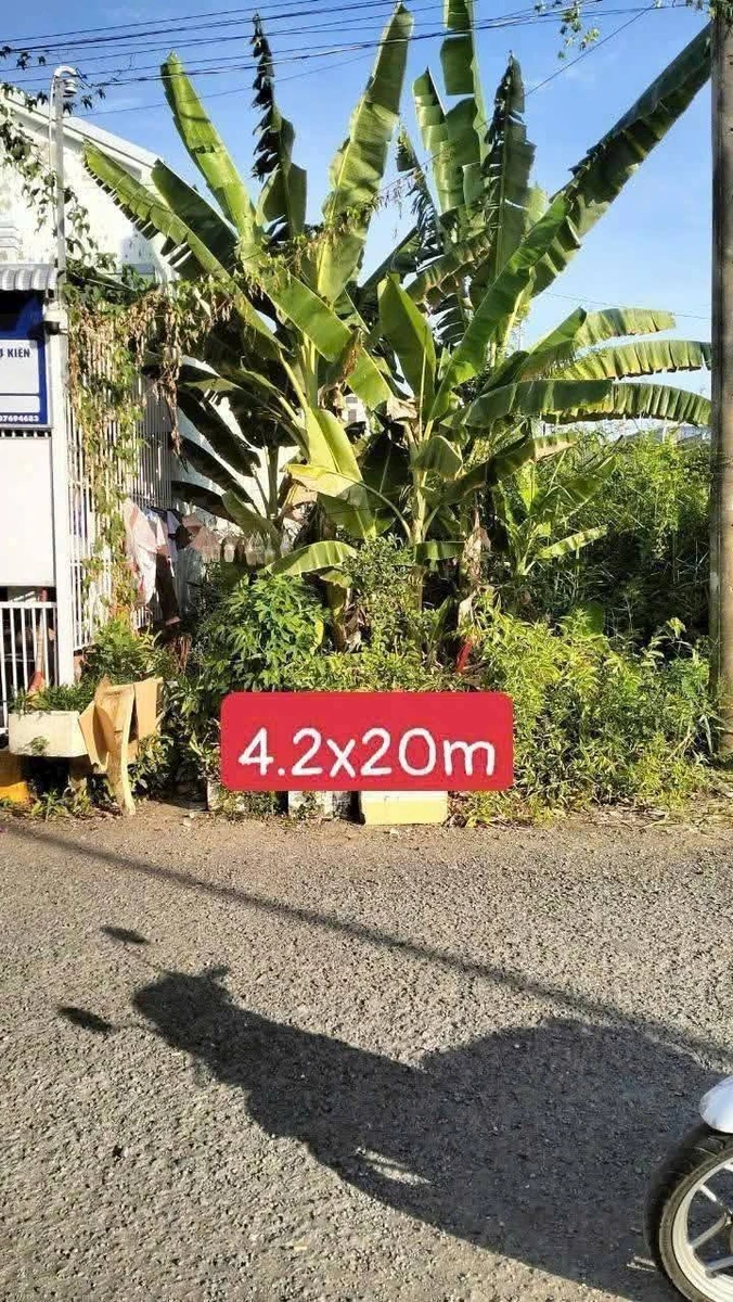 Bán nền đất 84m² Bạc Liêu, phường 5 - Ảnh thu nhỏ 2