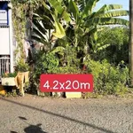 Bán nền đất 84m² Bạc Liêu, phường 5 - Ảnh thu nhỏ 2