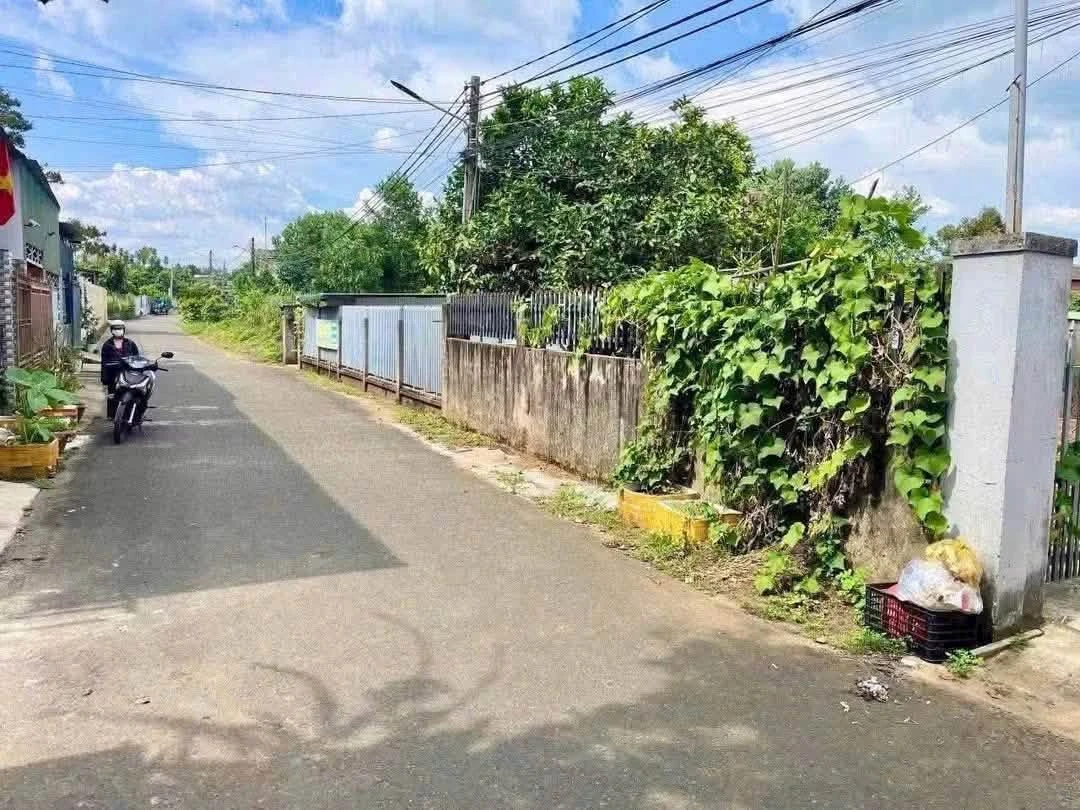 Bán đất 300m² hẻm Nguyễn Tri Phương, Bảo Lộc, 1 tỷ 9 - Ảnh thu nhỏ 2